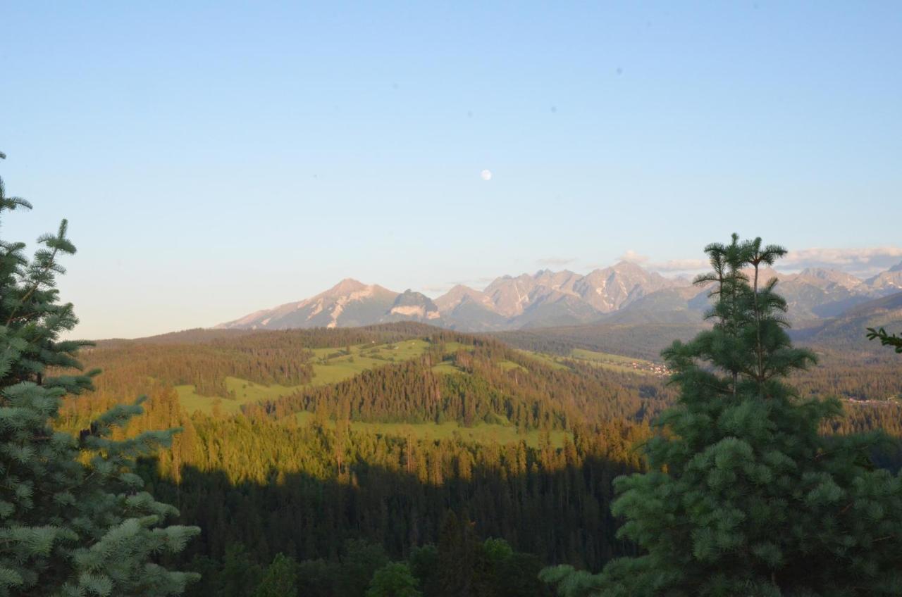 Sleboda Wynajem Pokoi Ewa Satola Bialy Dunajec Bagian luar foto