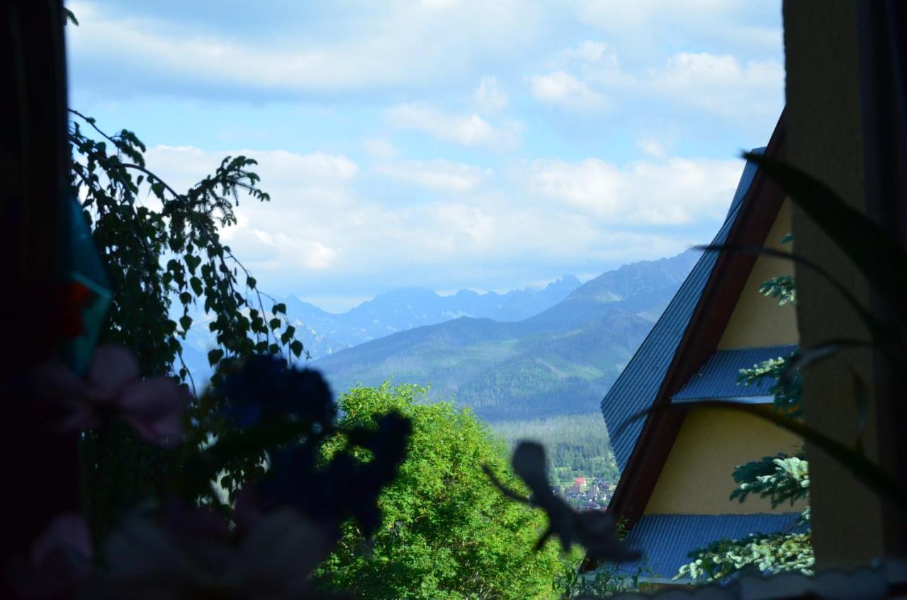 Sleboda Wynajem Pokoi Ewa Satola Bialy Dunajec Bagian luar foto